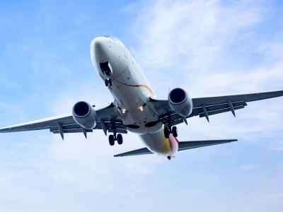 Aviation Management